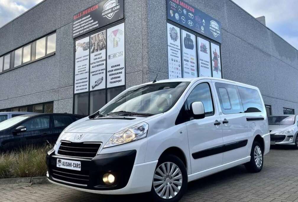 Peugeot HDI 110 lang verglast