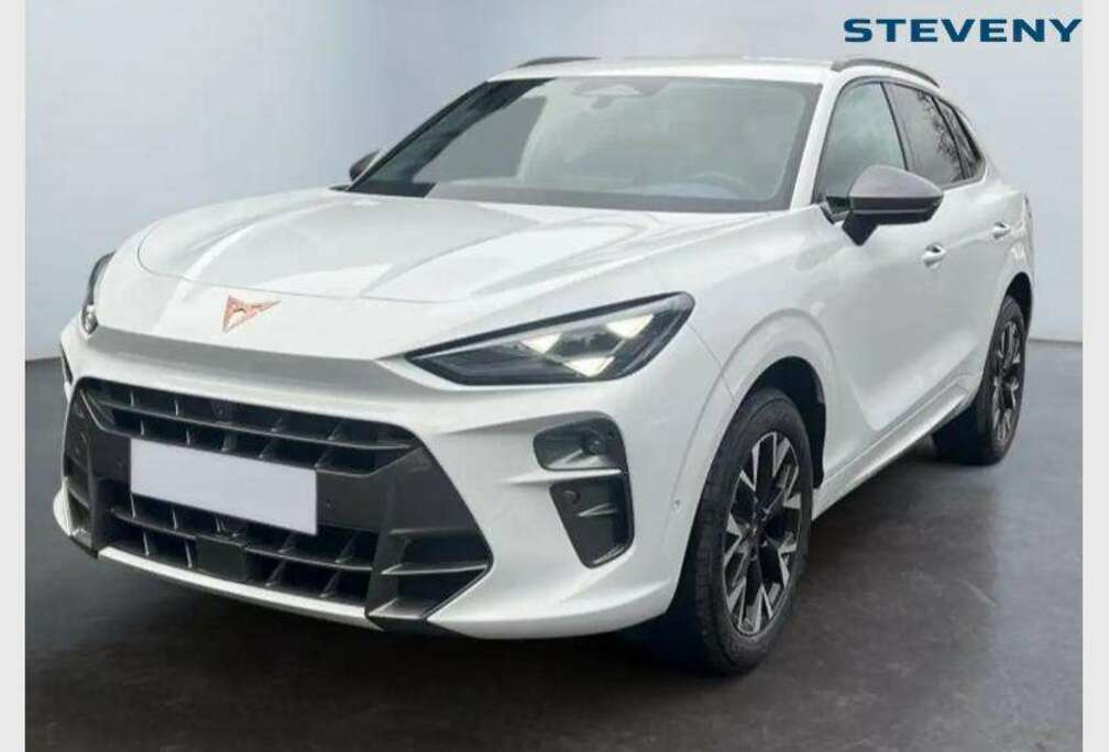 Terramar Business 1.5 eTSI 150ch (110kW) DSG 7v Mild Hybrid