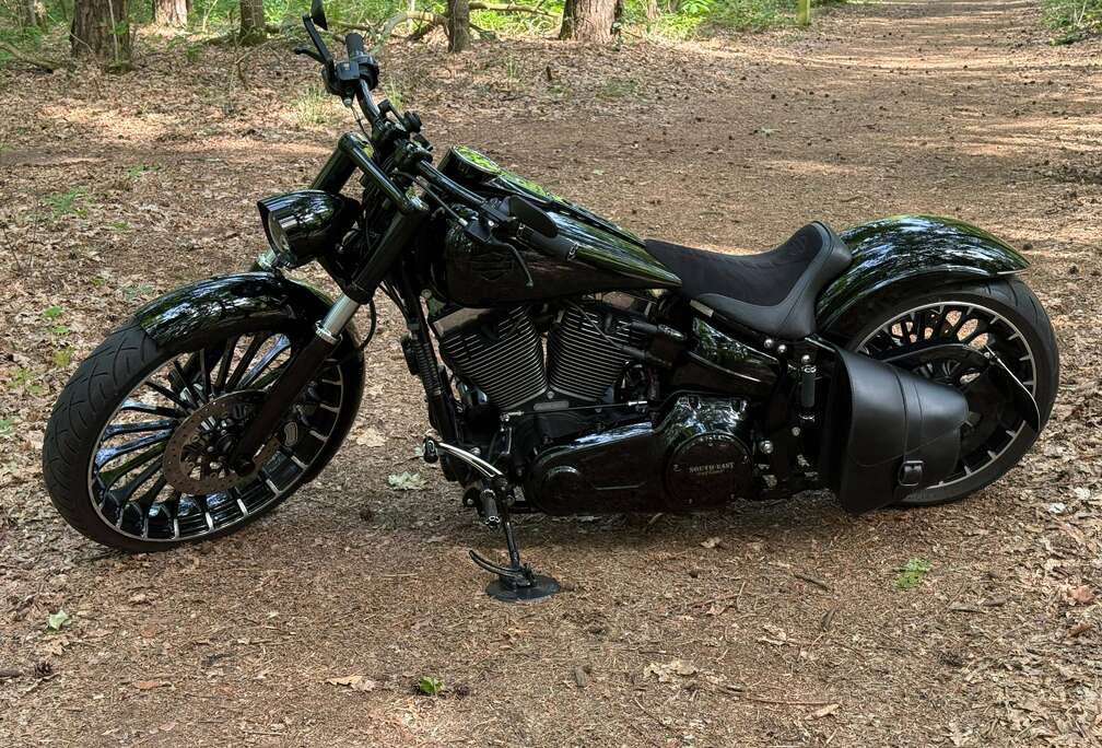 Harley-Davidson Breakout FXSB 2017 Full Custom