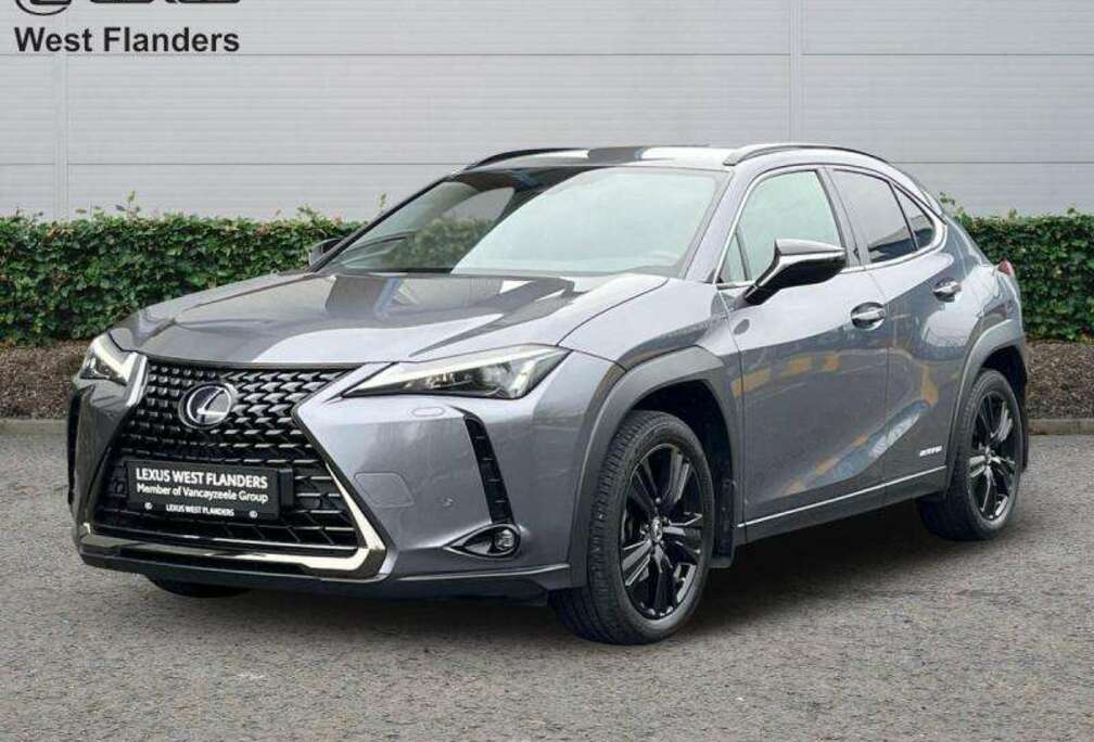 Lexus Black Line+cam+gps+sens V+A
