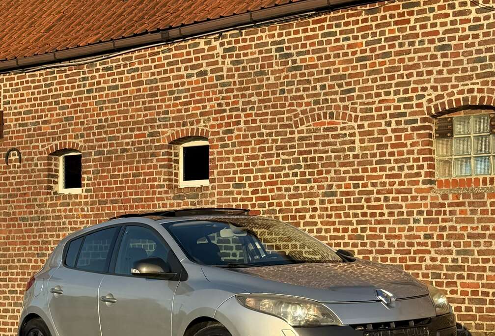 Renault 2.0 Tce DYNAMIQUE