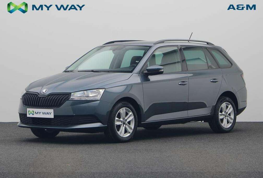 Skoda 1.0 TSI 95 PK DSG AUTOMAAT