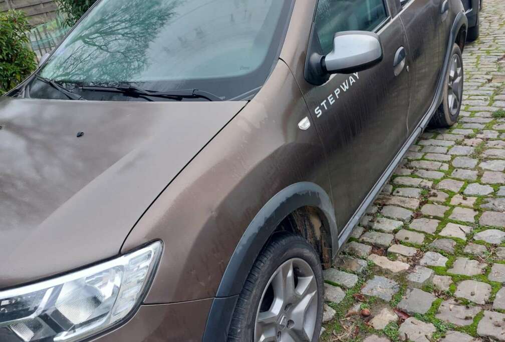 Dacia Sandero Stepway 0.9 TCe Stepway SL Rainbow (EU6.2)