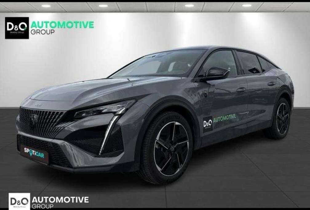 Peugeot GT EXCLUSIVE  PANODAK  LEDER