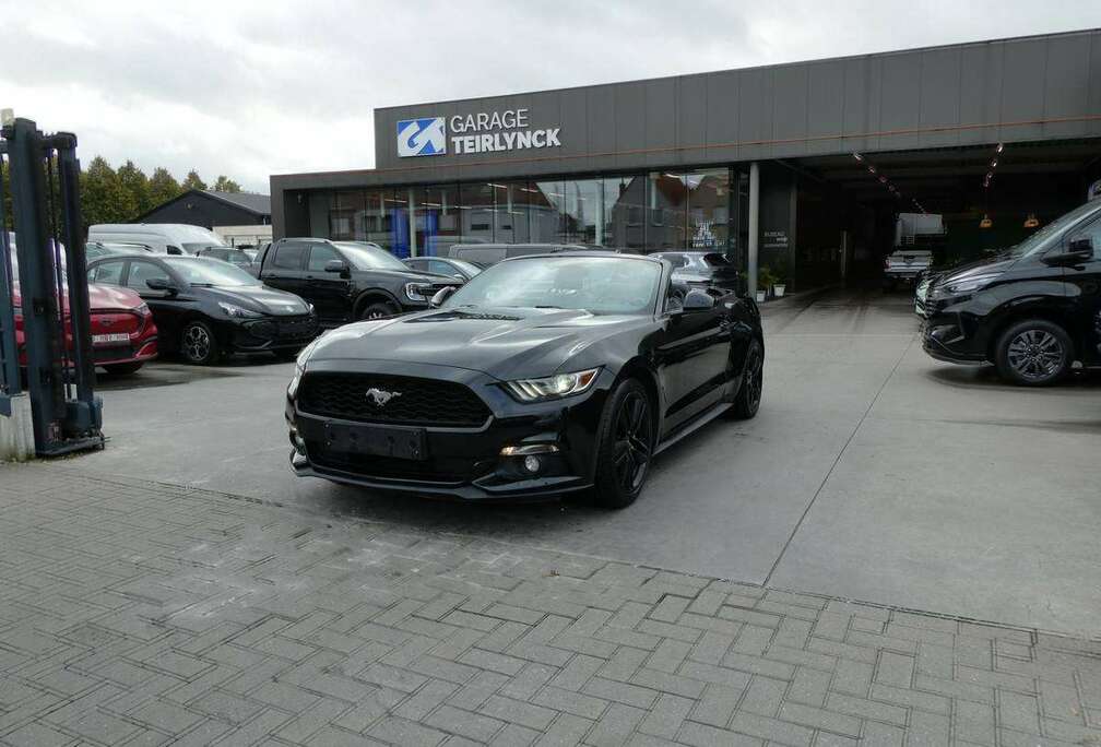 Ford Cabrio 2.3 i Ecoboost 317pk Black Edition \'17 79000km (06559)