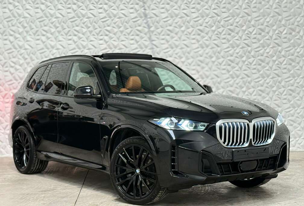 BMW 3.0d xDrive M-Pack / H&K / 360 / 22\