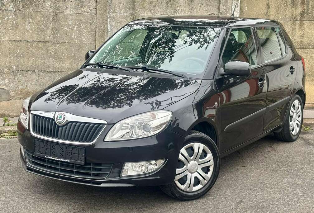 Skoda Skoda Fabia//38.000//2010//essence//euro5