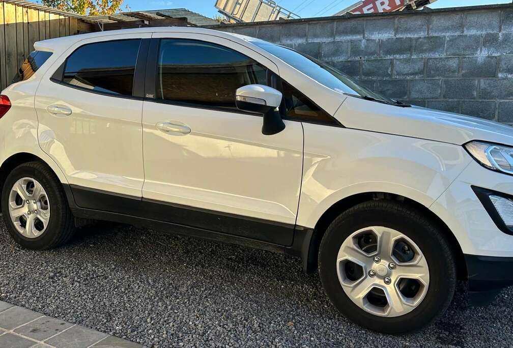 Ford 1.0 EcoBoost Airco Zetelverw CarPlay 36000km