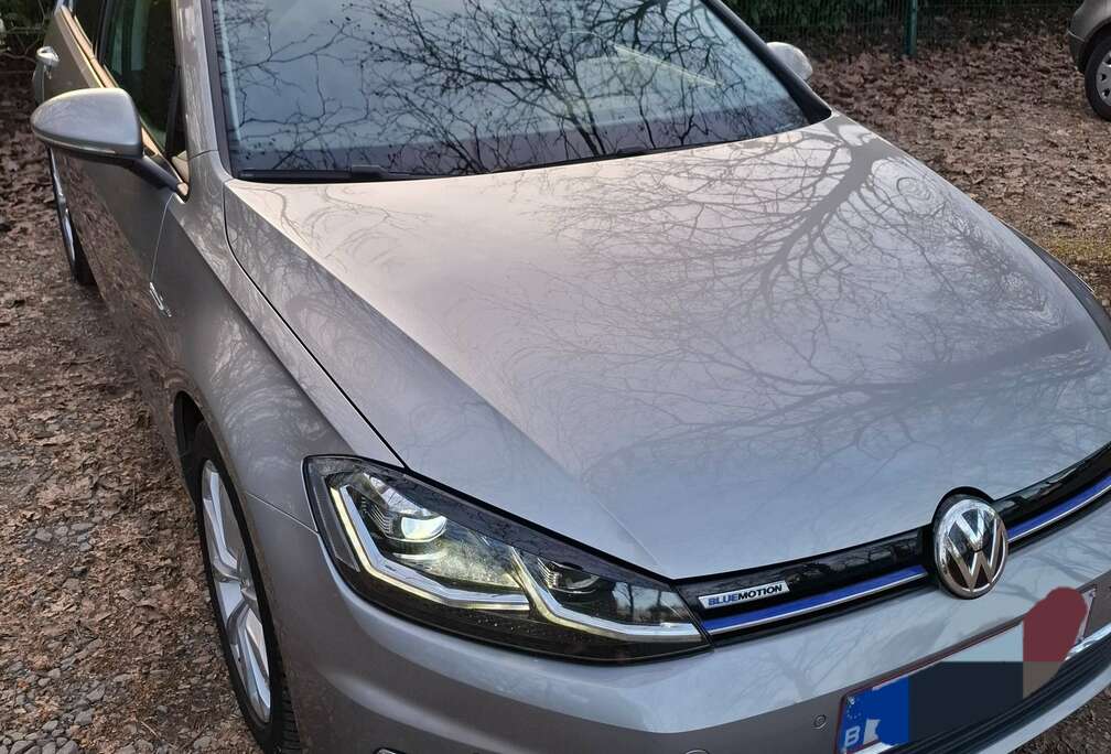 Volkswagen Golf 1.5 TSI ACT BM Highline OPF (EU6.2)