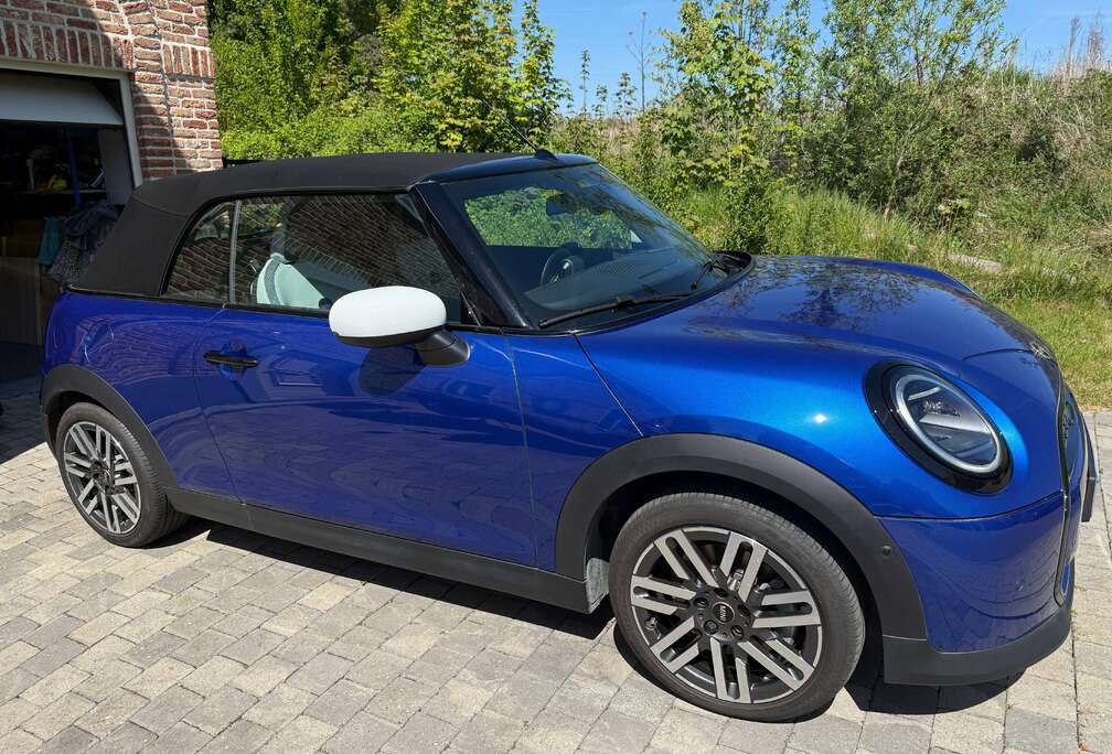 MINI Big Love