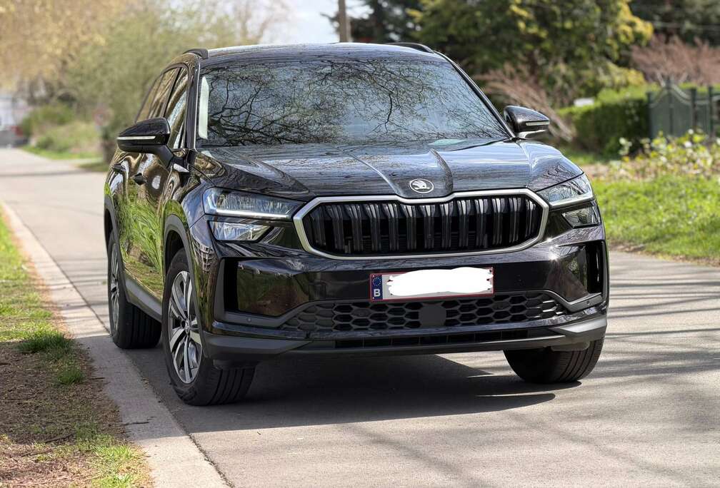 Skoda 2.0 CR TDi  7pl. DSG