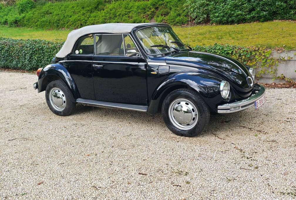 Volkswagen 1303