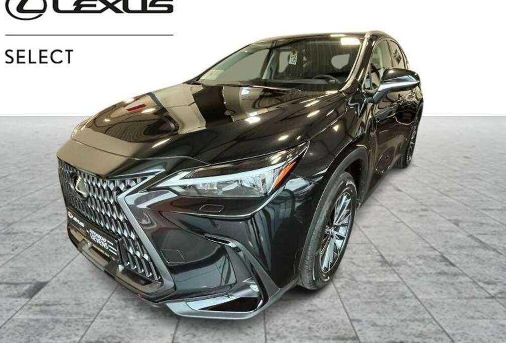 Lexus executive line
