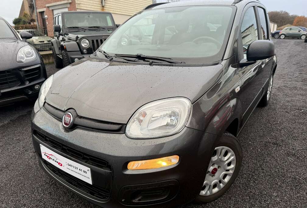 Fiat 12 Maanden waarborg