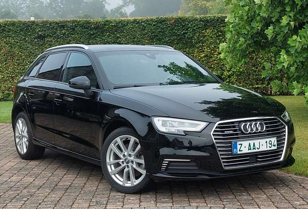 Audi Sportback 40 e-tron - Automaat - Navi - Cruise Con