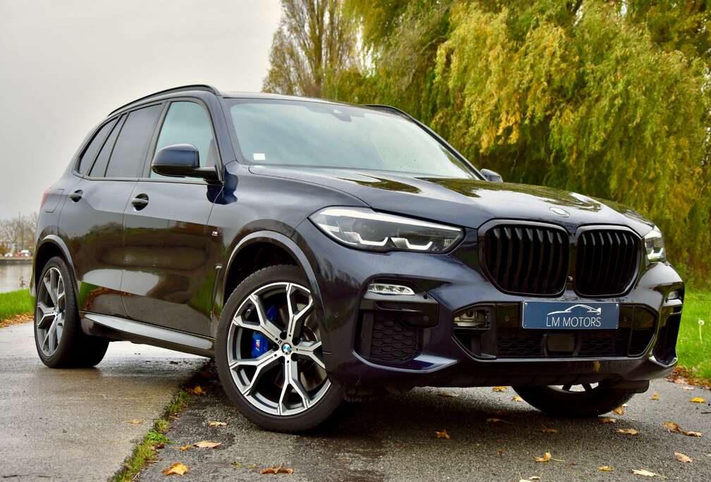 BMW X5 xDrive30d **M-PACK** LICHTE VRACHT