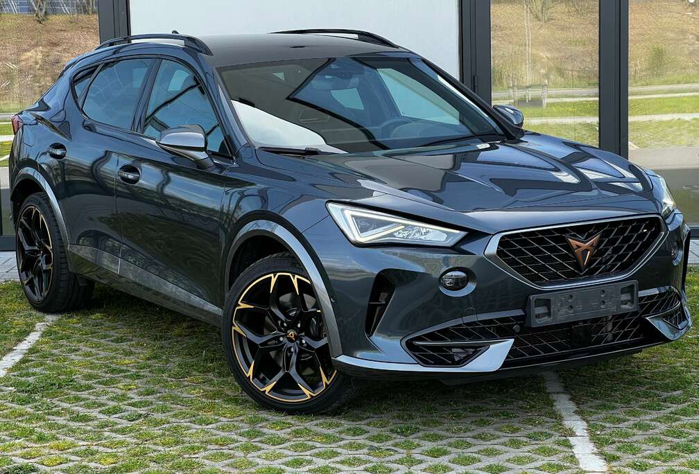 Formentor 2.0 TSI 4Drive VZ DSG