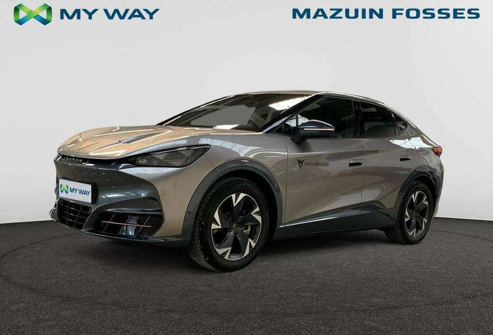 Tavascan Endurance Business 286ch (210kW) v 77 kWh Rear Wheel Drive