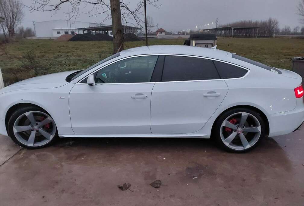Audi 2.0 TDI Sportback DPF (clean dies.) multitronic