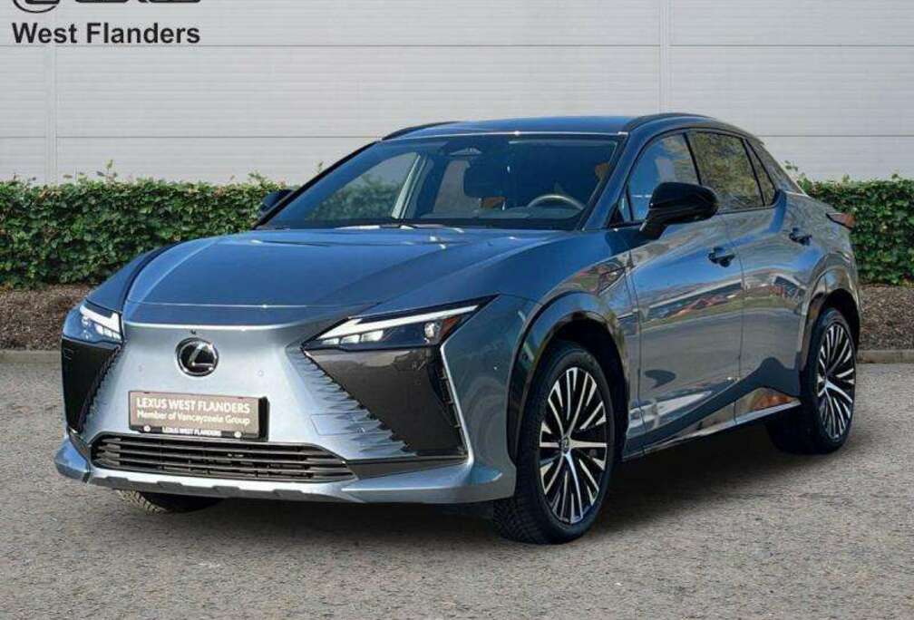 Lexus Privilege Line+afneembare trekhaak+360cam+gps+se