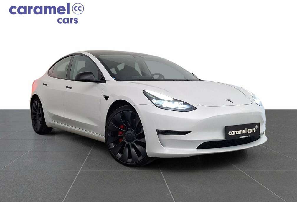 Tesla AUTO PILOT*PANO DAK*LEDER*360CAMERA+SENSOREN*GPS