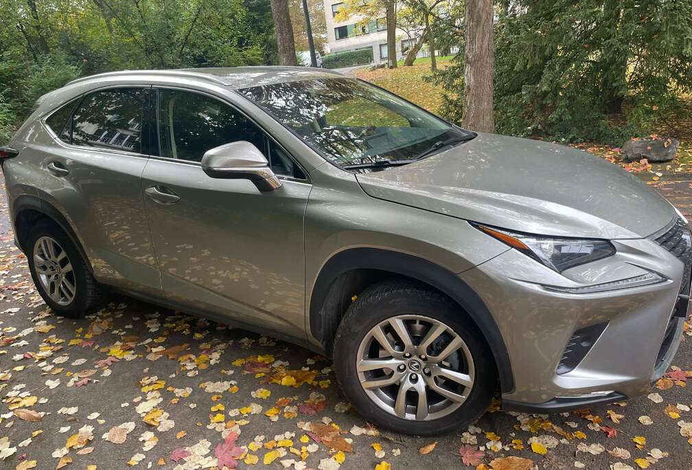 Lexus HYBRIDE NX 300h 2.5i AWD Business Edition  E-CVT (EU6.2)