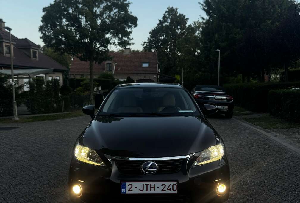 Lexus Dynamic Line