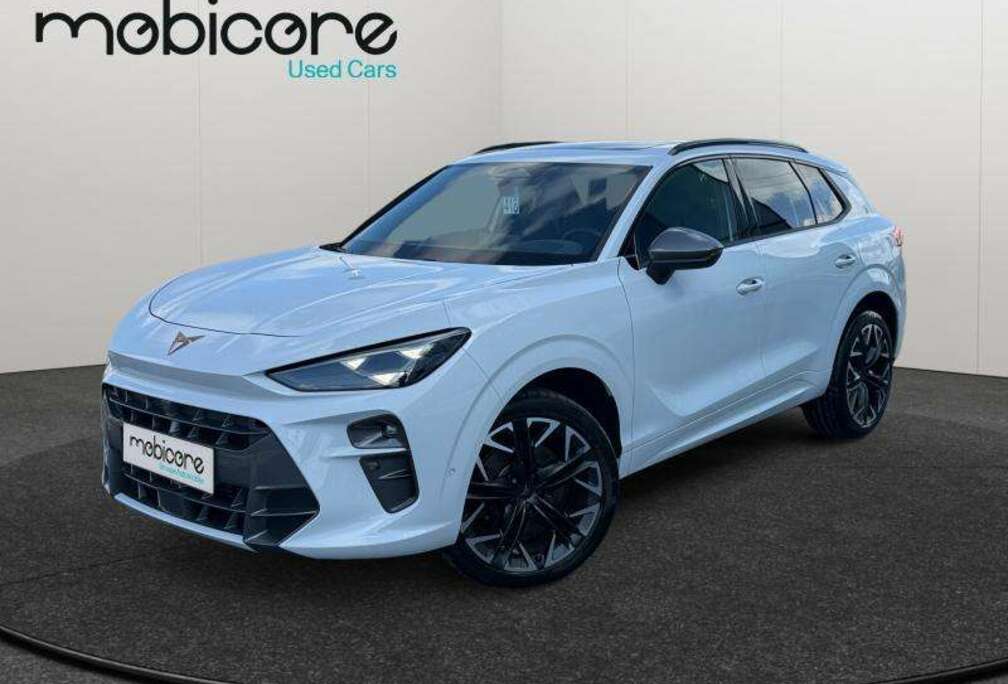 VZ 2.0 TSI 4x4 265 CV/ Essence