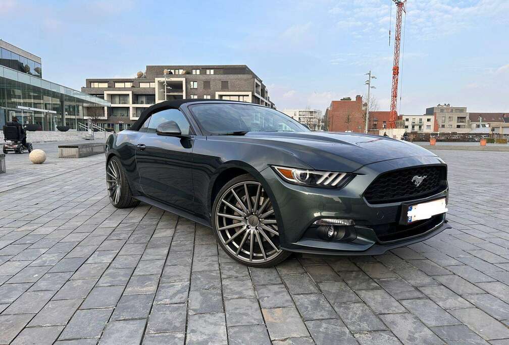 Ford Mustang Cabrio 2.3 Eco Boost