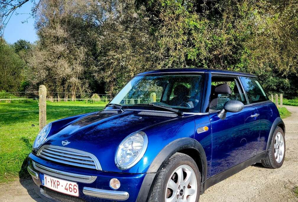 MINI