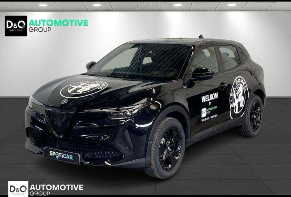 Alfa Romeo Nero Tortona