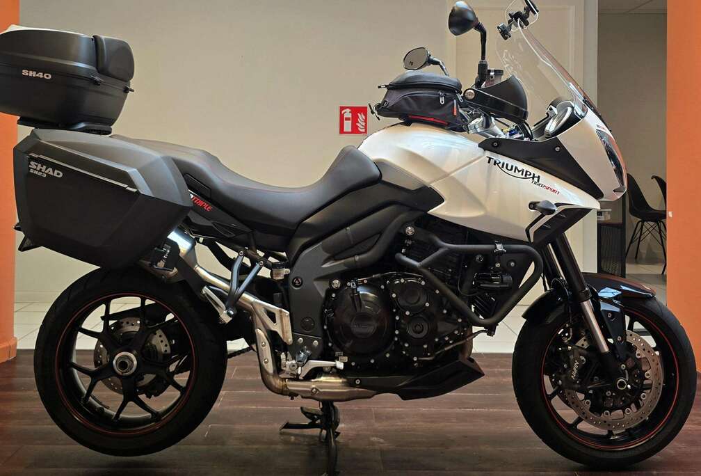 Triumph Sport