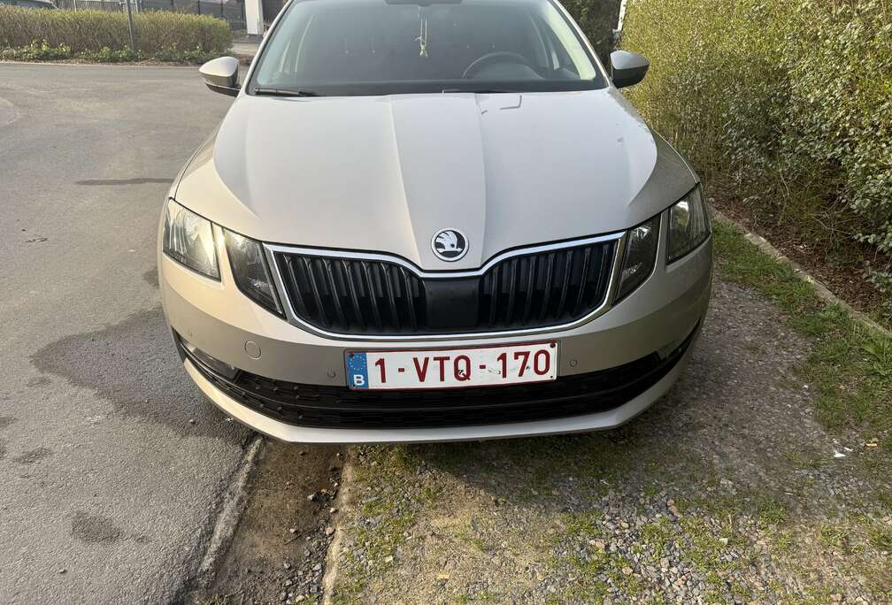 Skoda SW 1.0 TSI Style DSG (EU6.2)