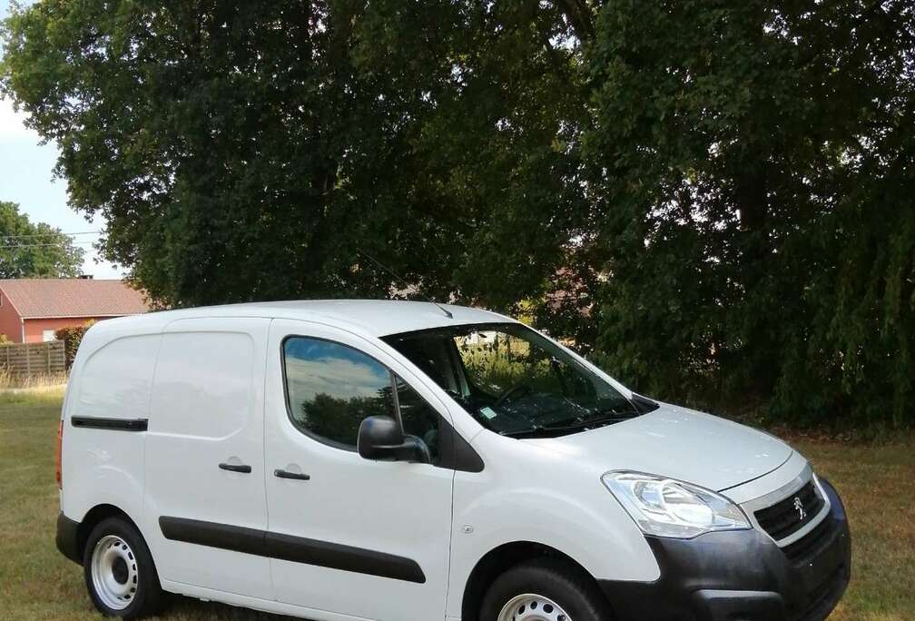 Peugeot 1.6 BlueHDi 75 L1 Pro