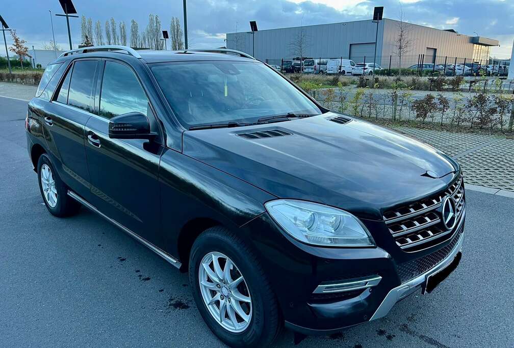 Mercedes-Benz 4-Matic Mercedes-Benz LICHTE VRACHT Euro6