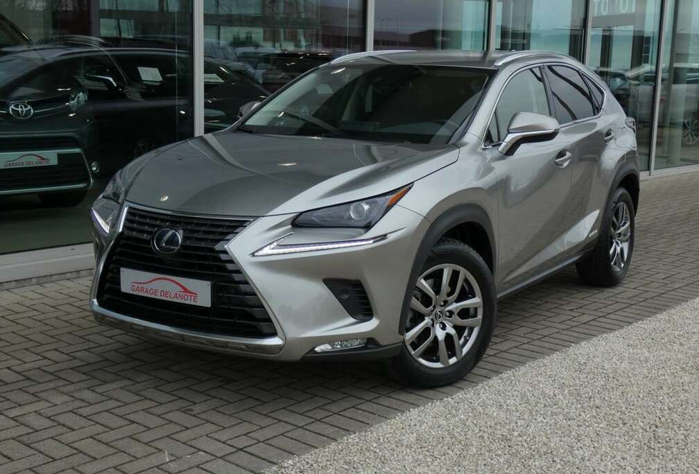 Lexus Hybrid AWD Executive Line LEDER +TREKHAAK