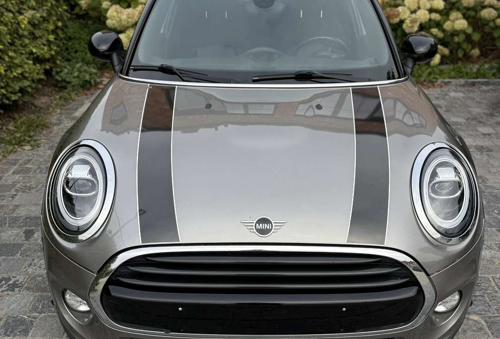 MINI Mini Cooper 60 Years Chili