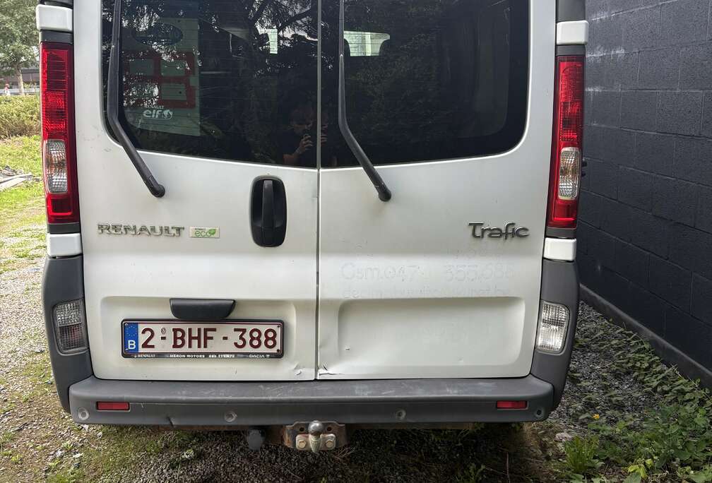 Renault 2.0 dCi 29 L1H1 Confort