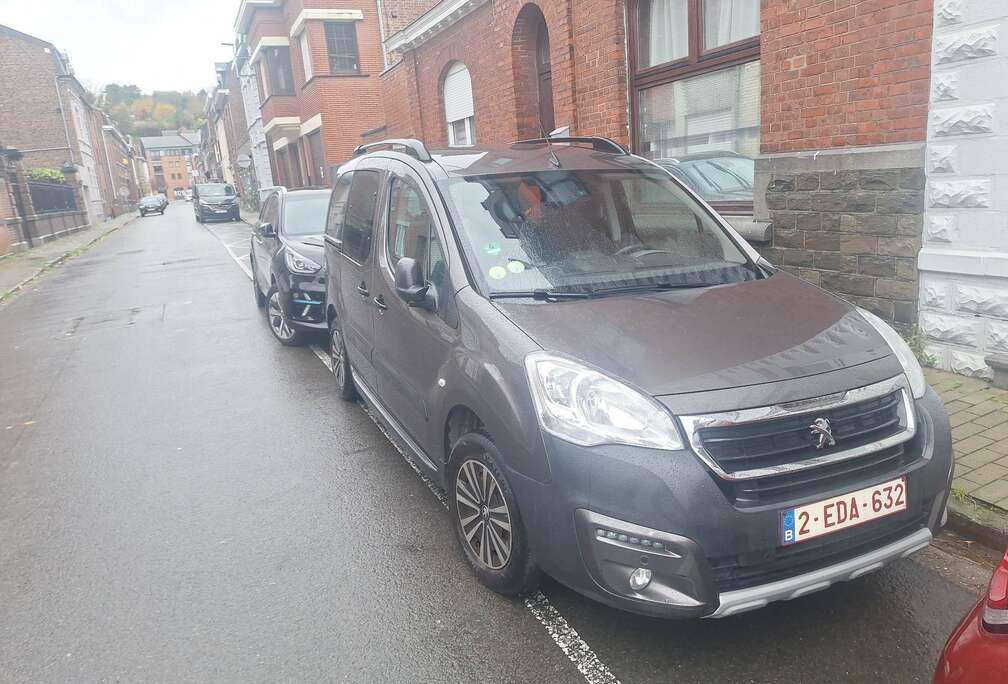 Peugeot Tepee 1.6 BlueHDi Active S&S ETG