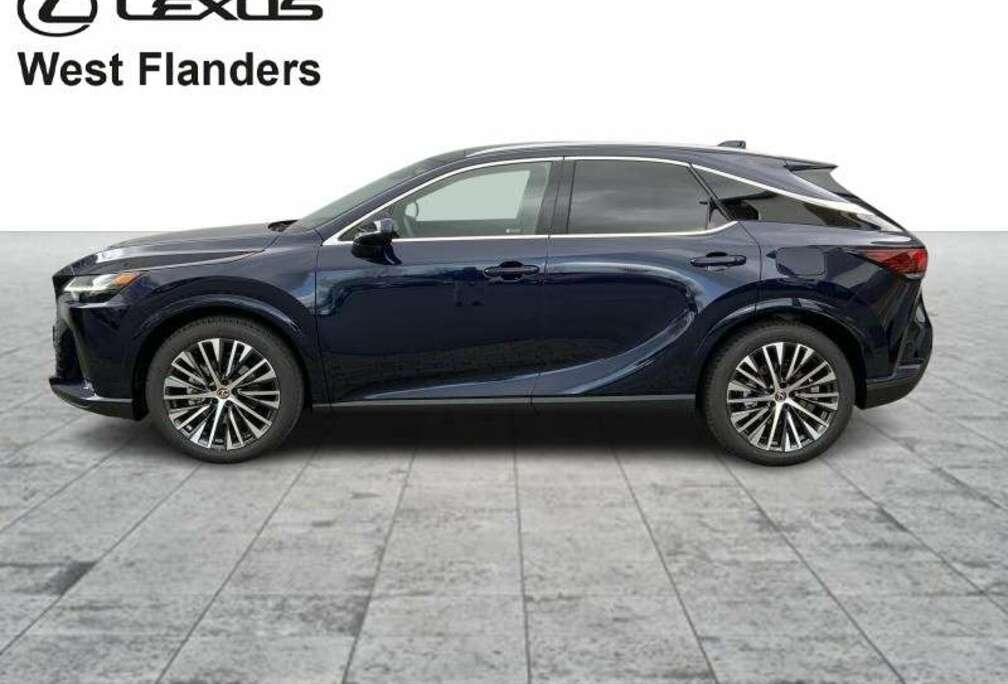 Lexus Executive Line+navi+cam+sensor