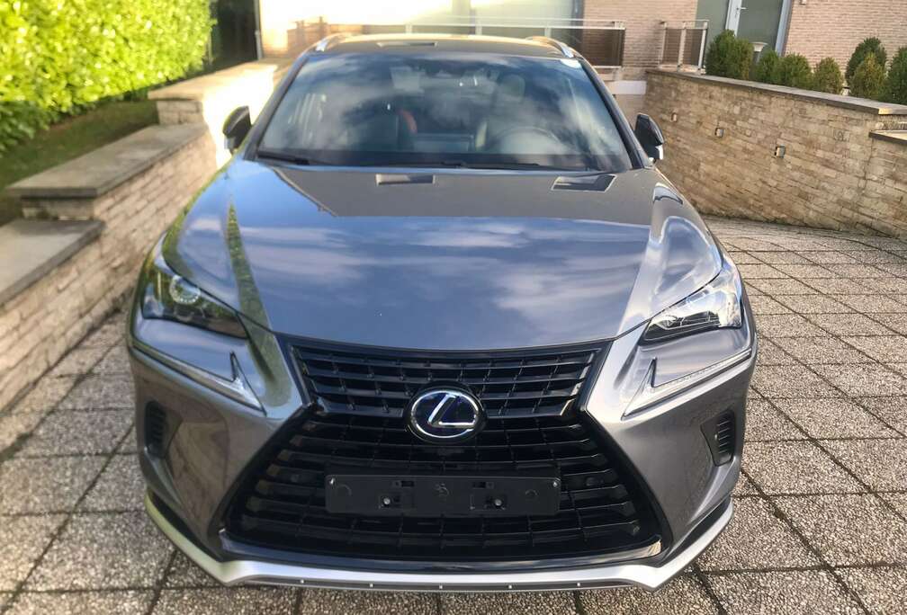 Lexus NX 300H 2.5i FWD Black Line E-CVT (EU6.2)