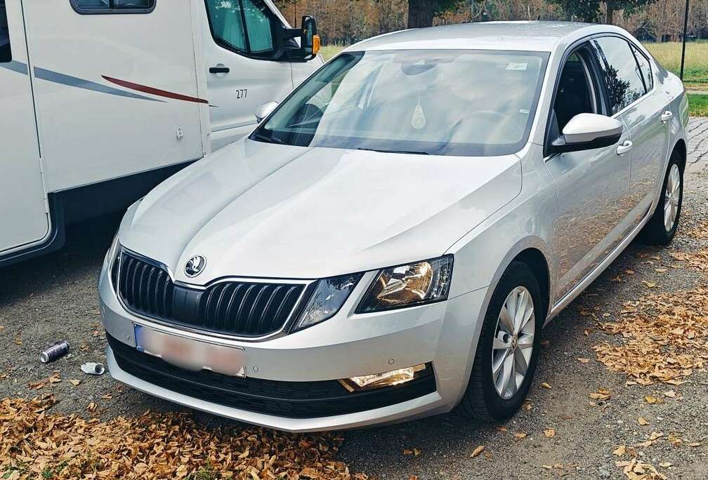 Skoda 1.6 TDI DSG Ambition