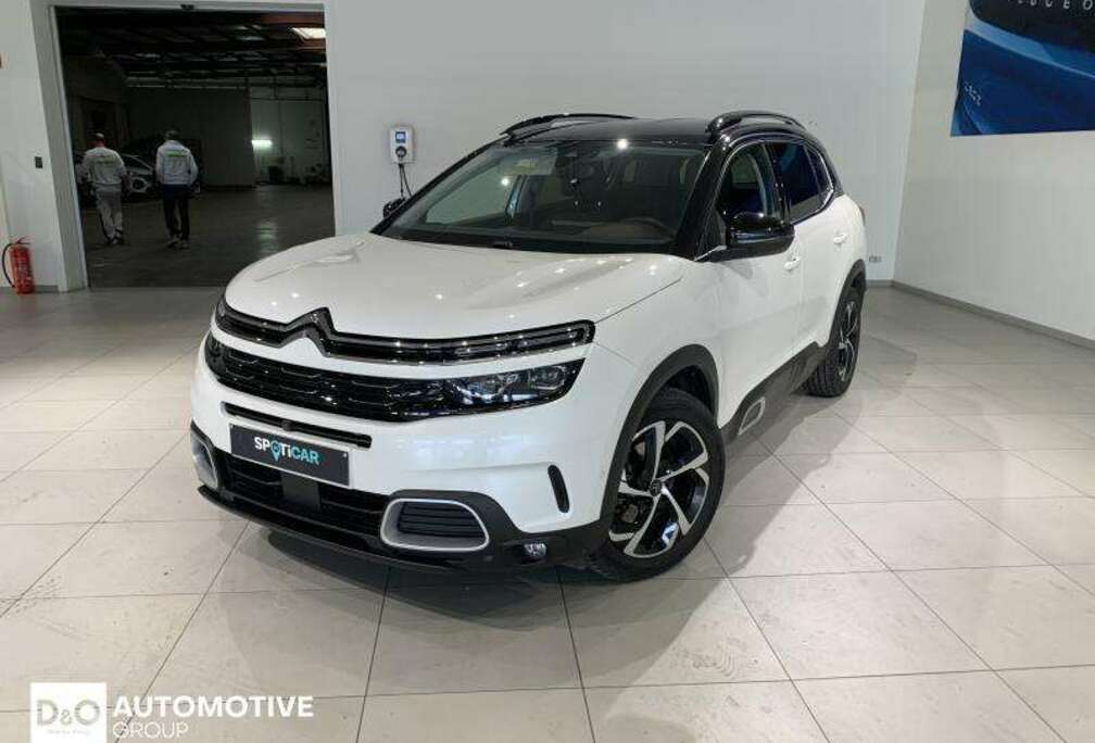 Citroen shine automatic