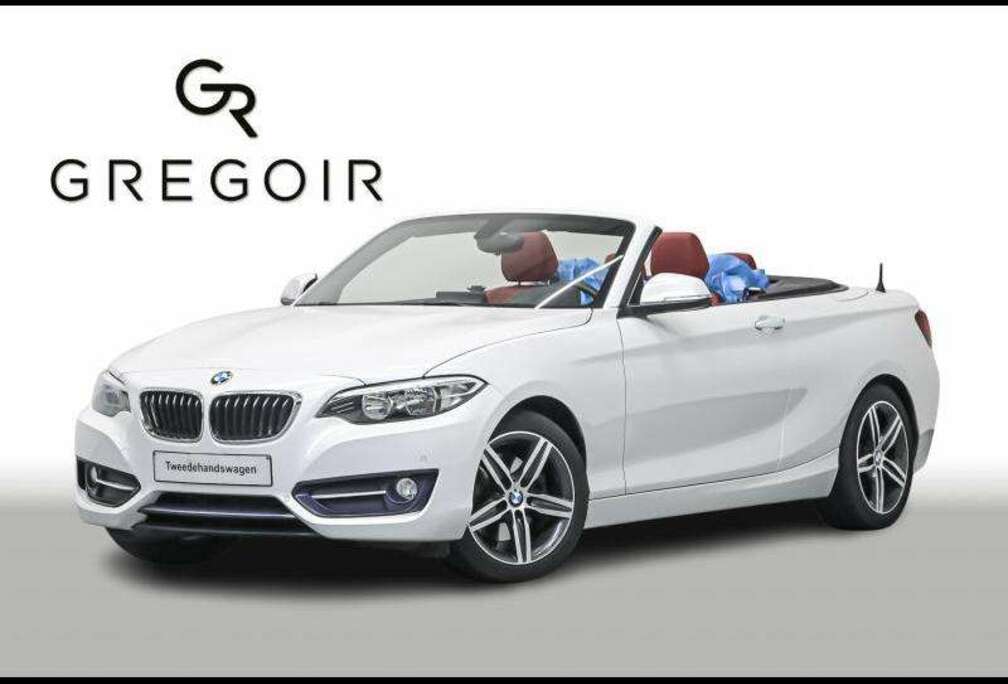 BMW SportLineHifiNaviProSportAuto