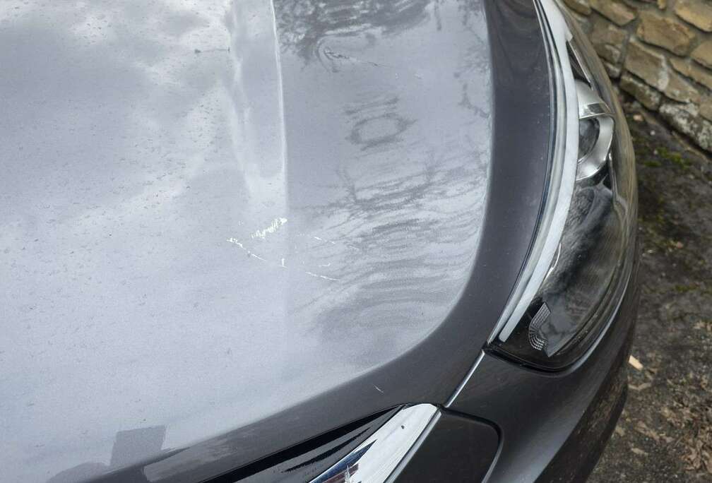 Hyundai 1.6 2WD Trend