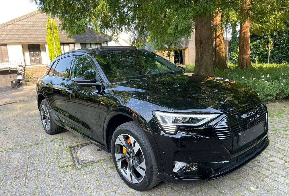Audi E-Tron 95 kWh 55 Quattro S line PANO*VERW Z*KEYLESS*CAMERA*PDC*LINE ASS*LAZER