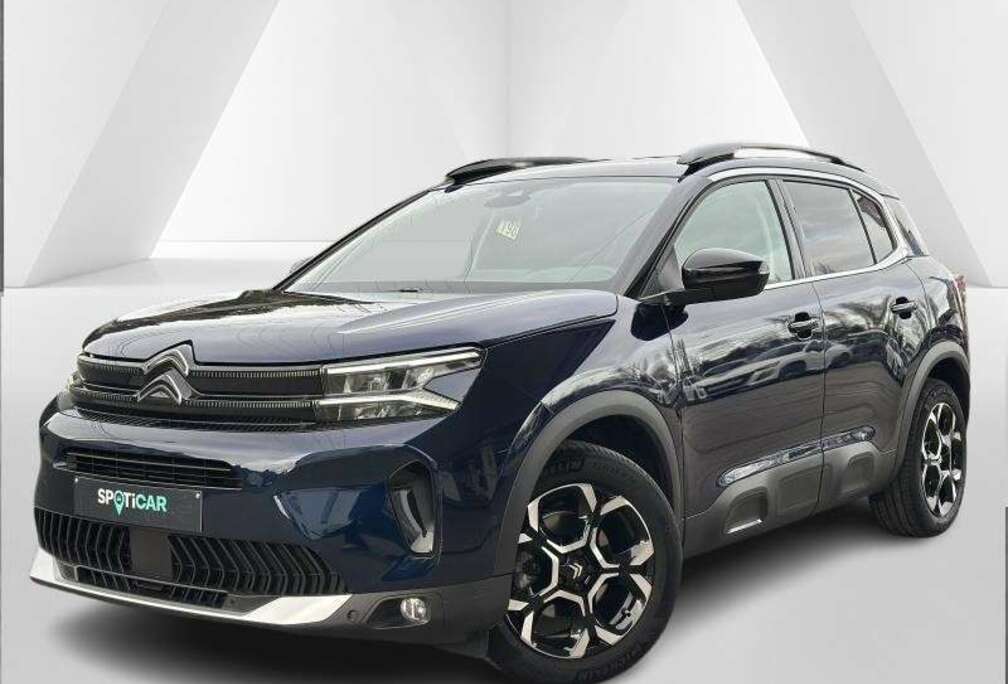 Citroen Max 12 Hybrid 145cv DSC6