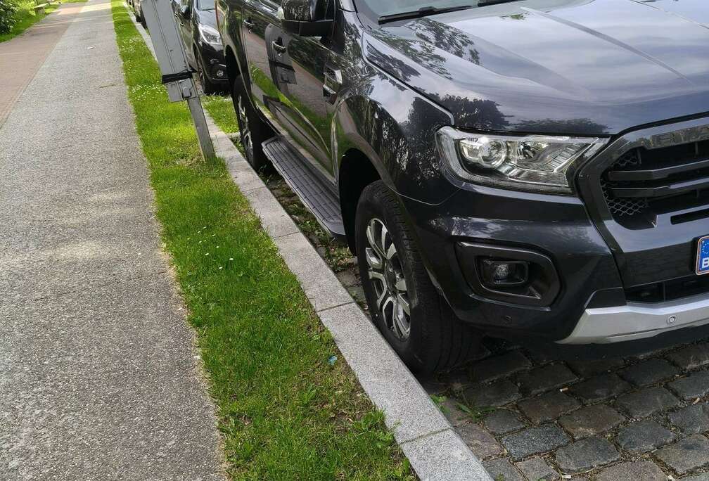 Ford 2,0 l EcoBlue Autm. Wildtrak