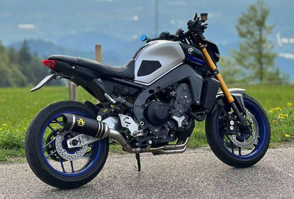 SP