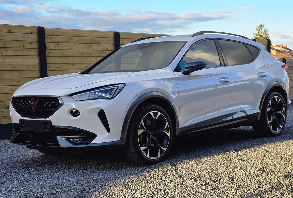 VZ 06/2021  61.538 km  BTW aftrekbaar